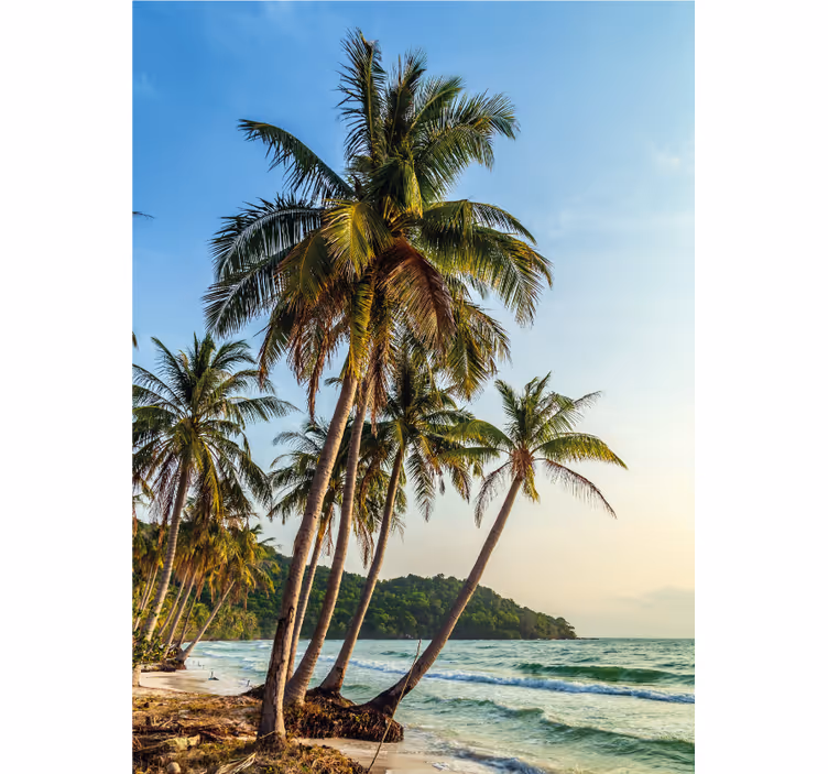 Palm trees on the beach bathroom window blind - TenStickers