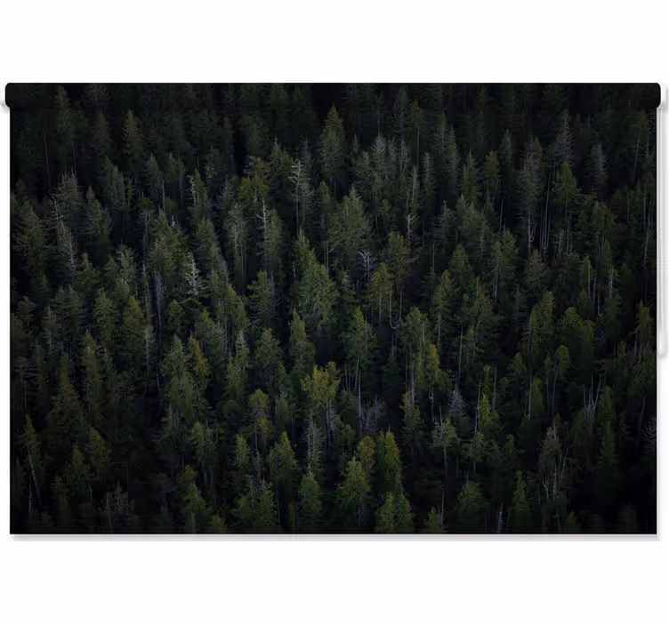 Tree roller blind deep woodland texture - TenStickers