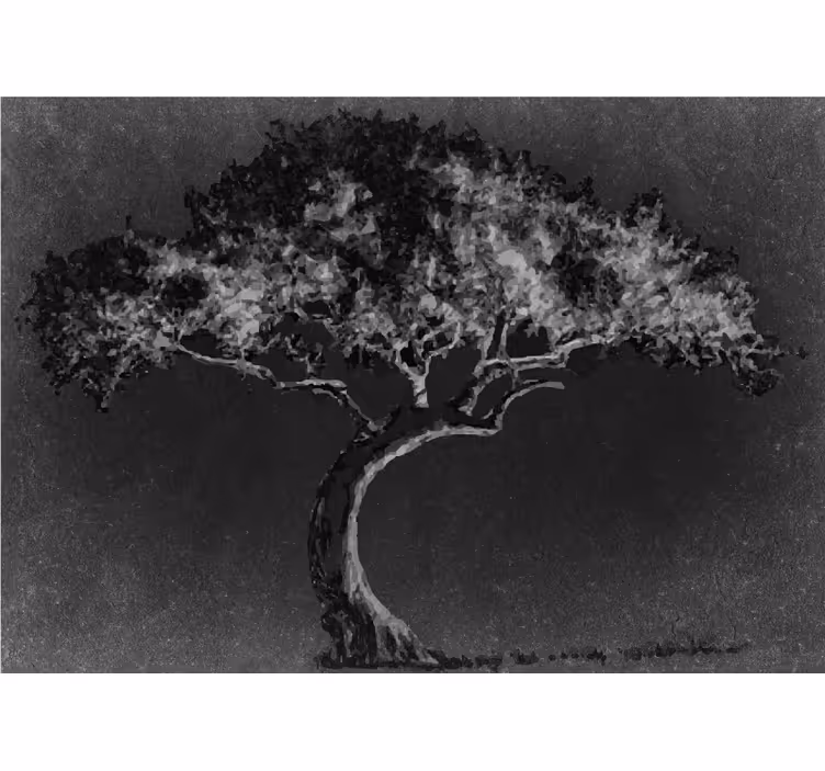 Roller blind for kitchen window in scandinavian willow tree - TenStickers