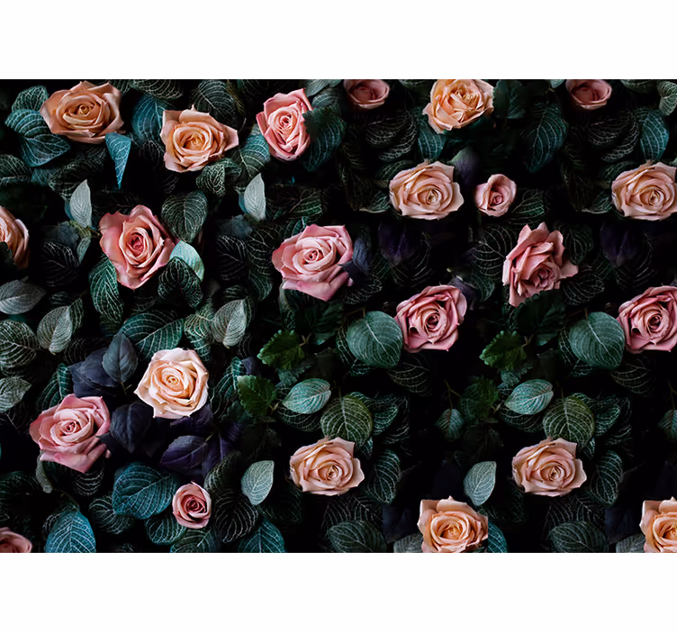 Roller blind for kitchen window pink coral roses - TenStickers