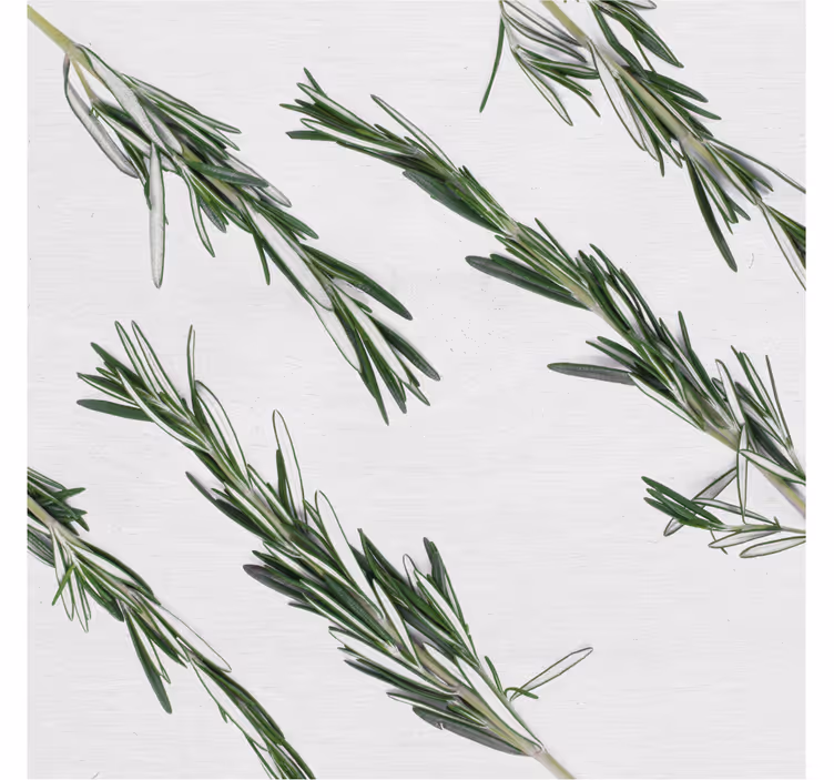 Romero roller blind for kitchen window - TenStickers