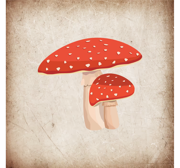 Roller blind for kitchen window amanita mushroom design - TenStickers