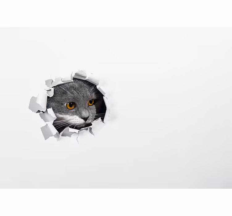White roller blind cute cat design - TenStickers