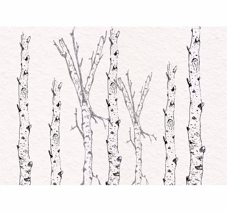 White roller blind birch branches - TenStickers