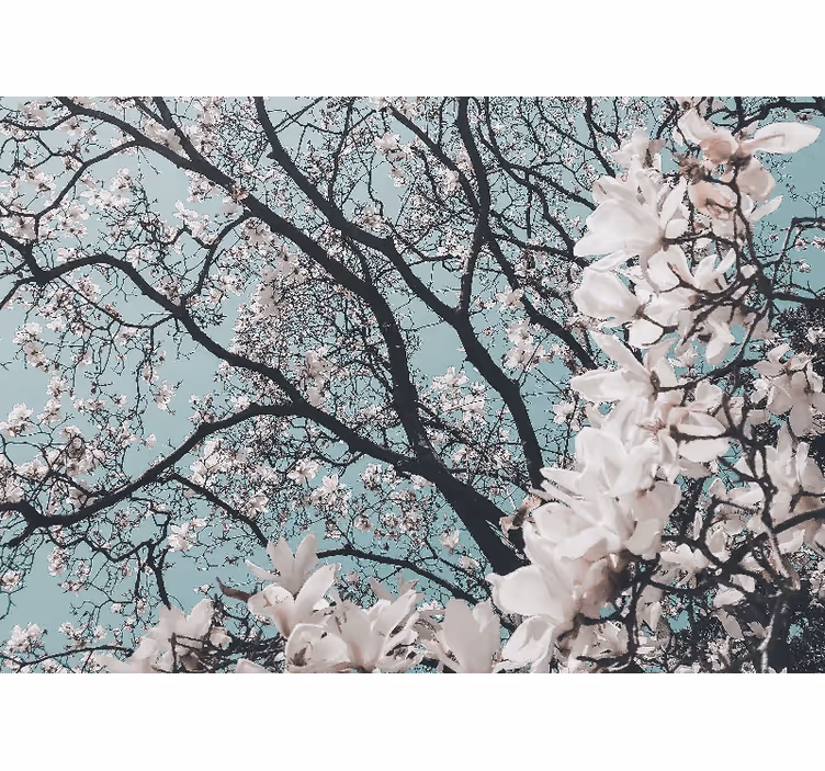 Roller blind for living room elegant japanese cherry blossom - TenStickers