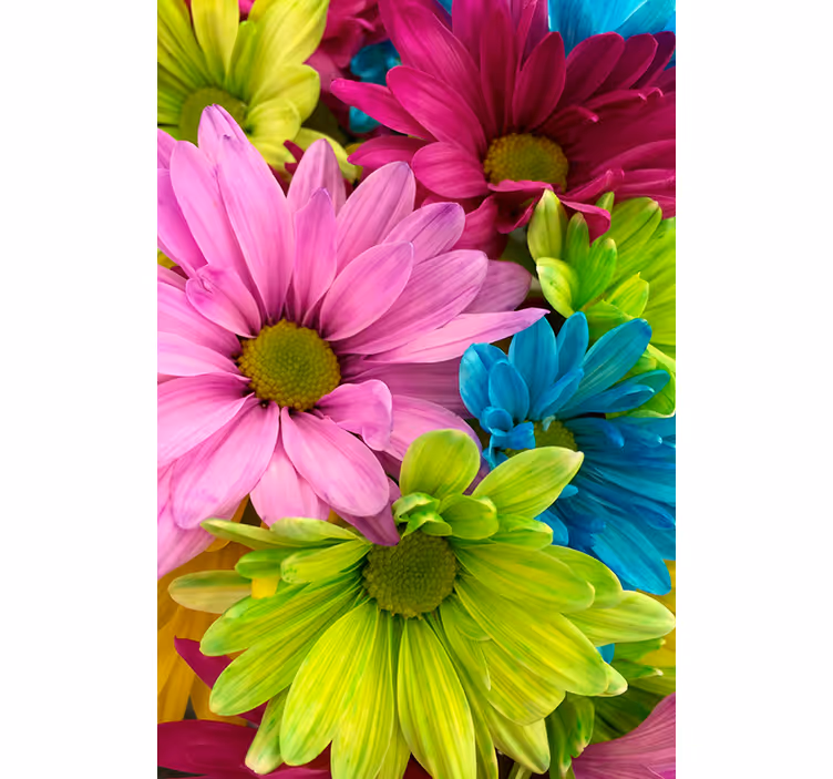 Colorful flowers roller blind for living room - TenStickers