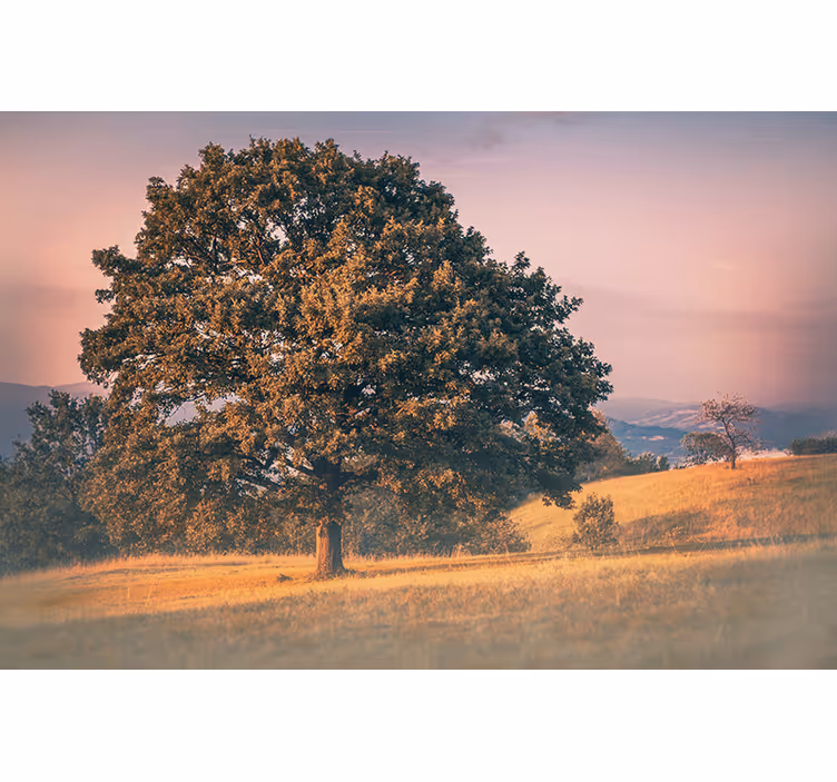Old tree cottagecore style roller blind for living room - TenStickers