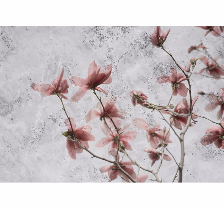 Roller blind for living room elegant magnolia design - TenStickers