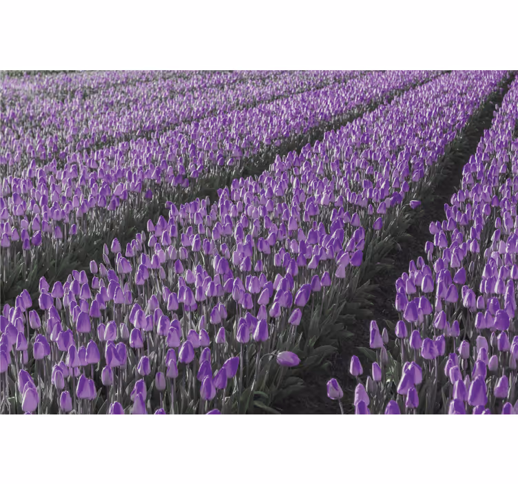 Roller blind for living room tulip field design - TenStickers