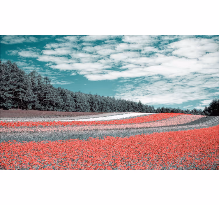 Different types of flower field roller blind for living room - TenStickers