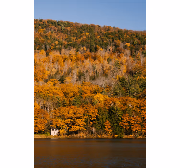 Lake and golden trees roller blind for living room - TenStickers