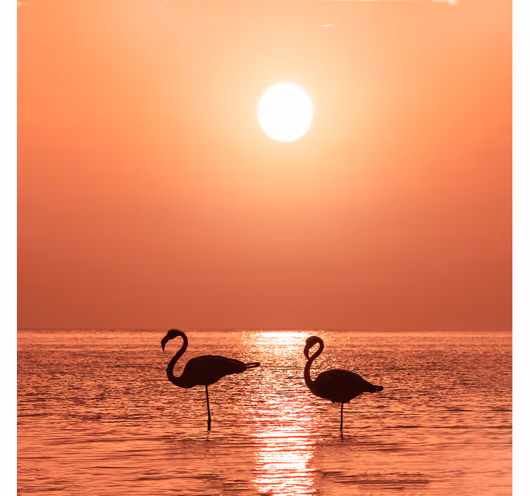 Roller blind for living room nice flamingo at sunset - TenStickers