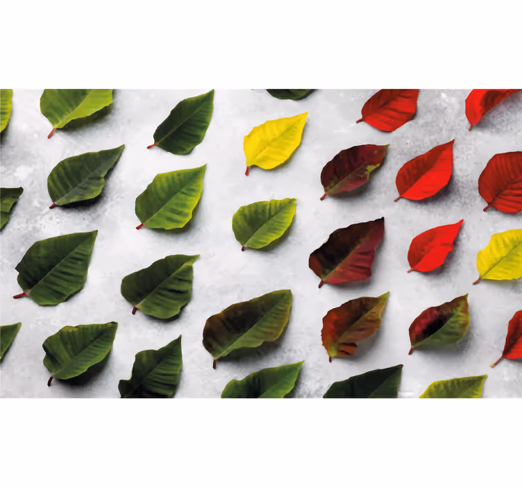 Roller blind for living room colorful leaf pattern - TenStickers
