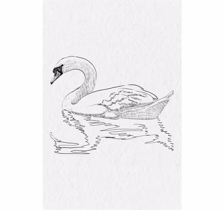Sketch swan roller blind for living room - TenStickers