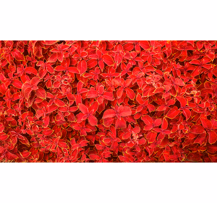 Red roller blind with petal design - TenStickers