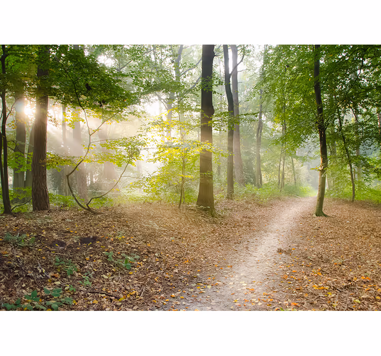 Forest path serenity roller blind for living room - TenStickers