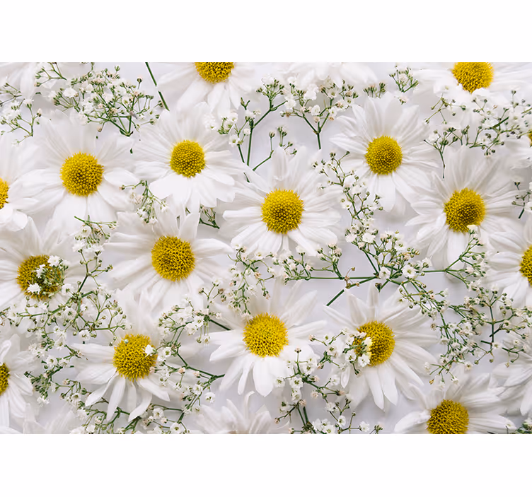 Daisy flower roller blind for living room - TenStickers