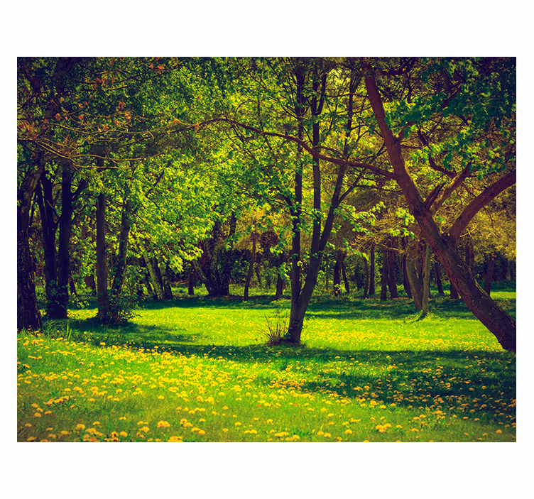 Green roller blind serene forest view - TenStickers
