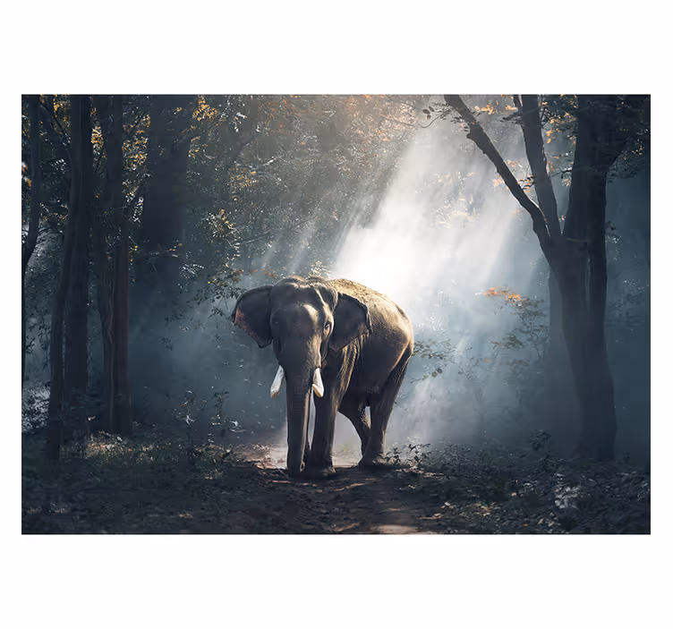 Roller blind for living room elephant in the forest - TenStickers