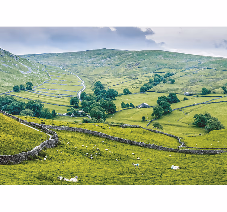 Roller blind for living room english countryside style - TenStickers