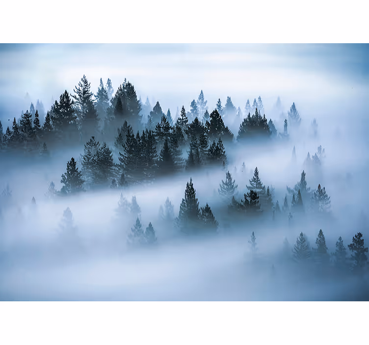 Morning fog roller blind for living room - TenStickers