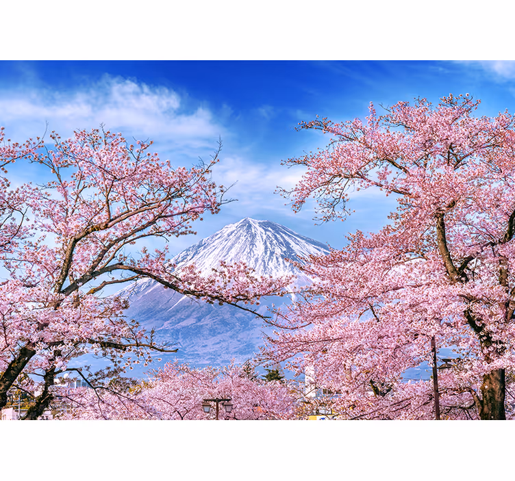 Mountain cherry blossom roller blind for living room - TenStickers