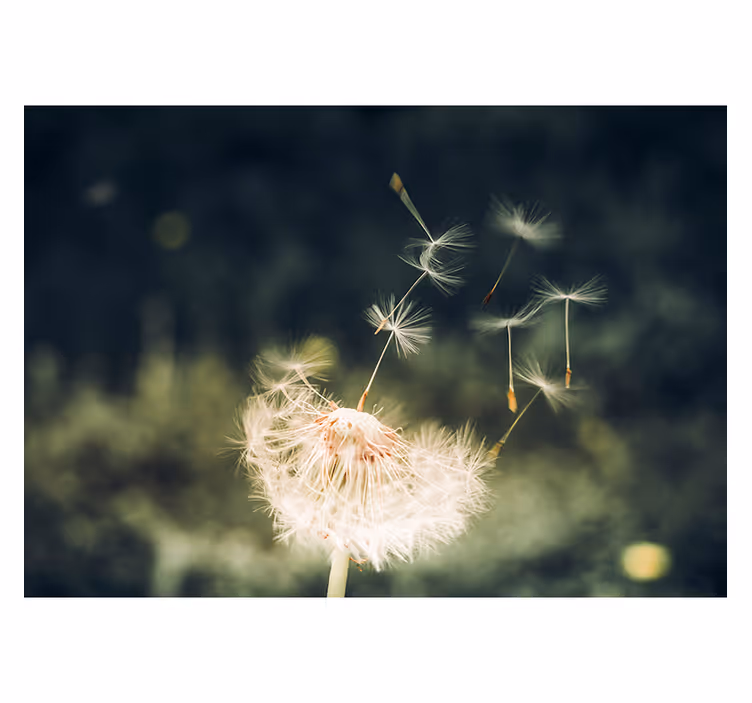 Dandelion seeds roller blind for living room - TenStickers