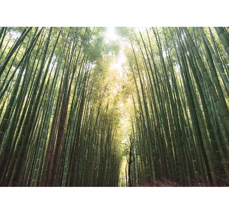 Bamboo forest zen roller blind for living room - TenStickers