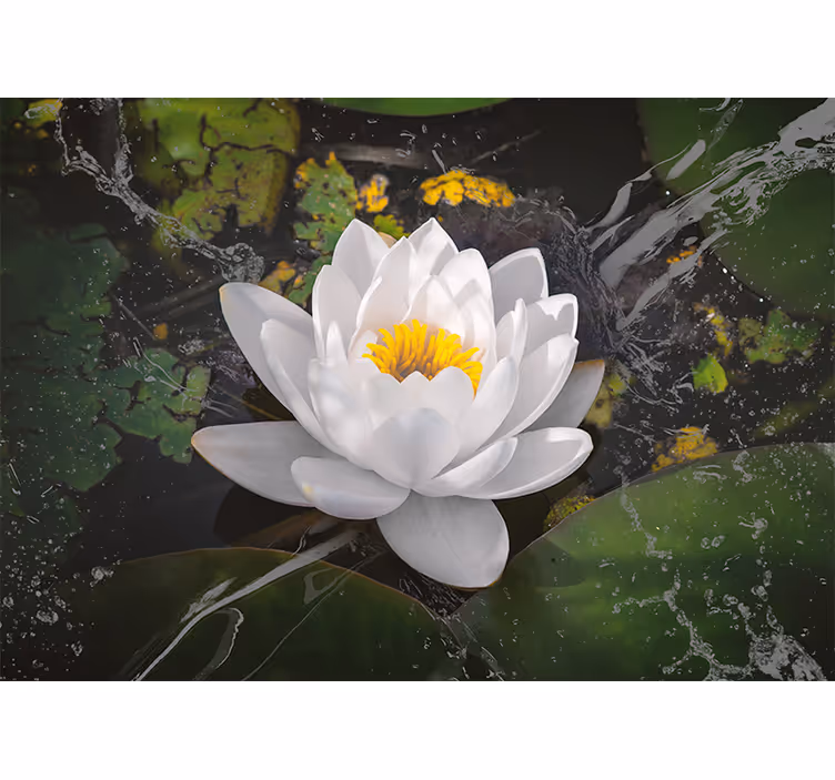 White and yellow lotus roller blind for living room - TenStickers