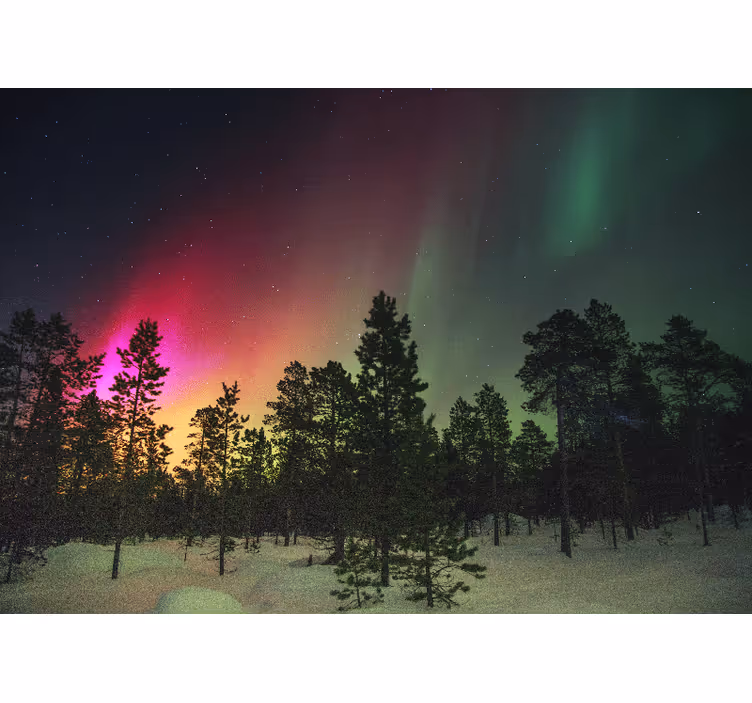 Northern lights over trees roller blind for living room - TenStickers