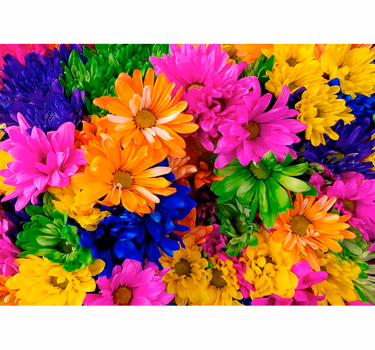 Colorful chrysanthemum roller blind for living room - TenStickers