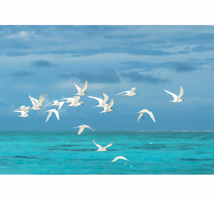 Birds flying roller blind for living room - TenStickers
