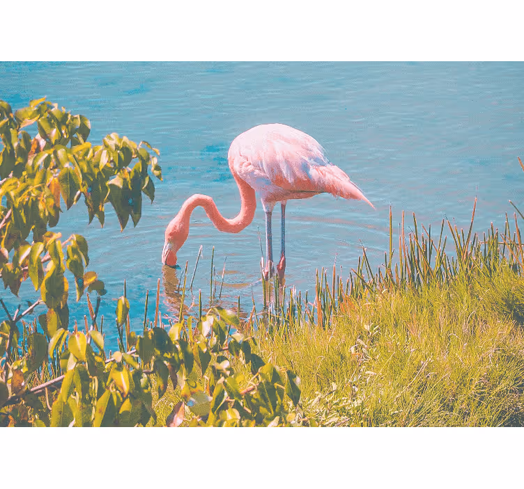 Beautiful flamingo by the water roller blind for living room - TenStickers