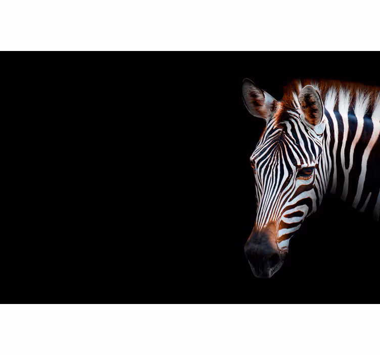 Zebra picture roller blind for living room - TenStickers