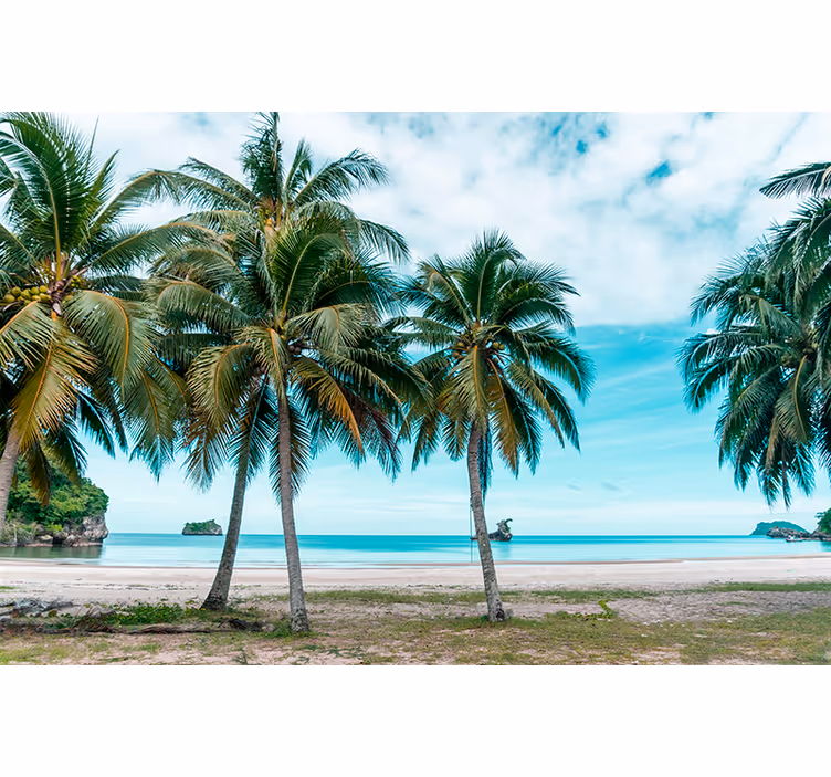 Roller blind for living room sea beach palm sand - TenStickers