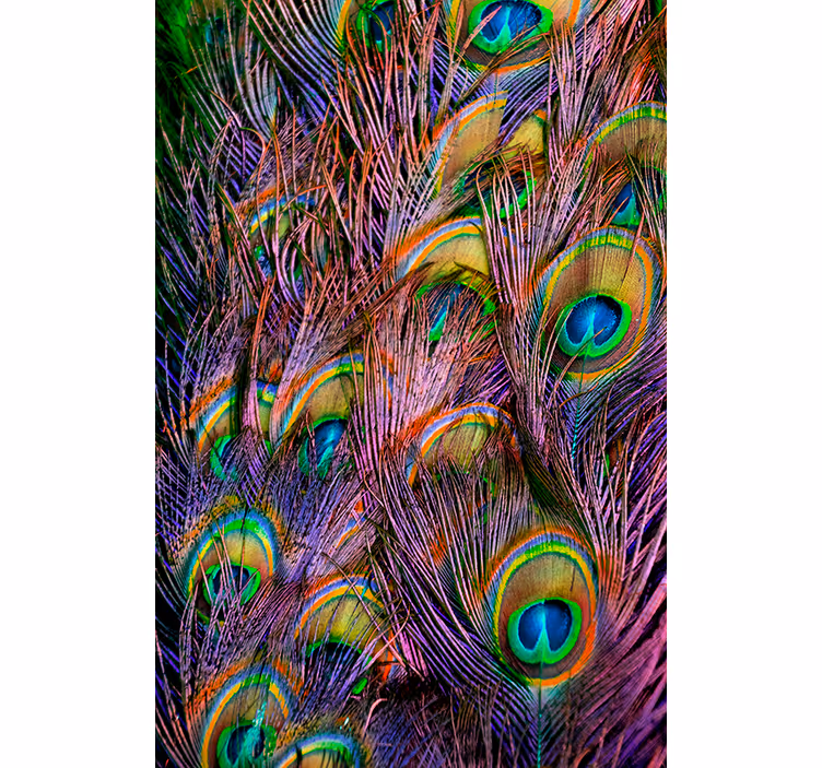 Roller blind for living room peacock feather design - TenStickers
