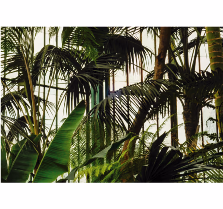 Roller blind for living room green wall decor - TenStickers