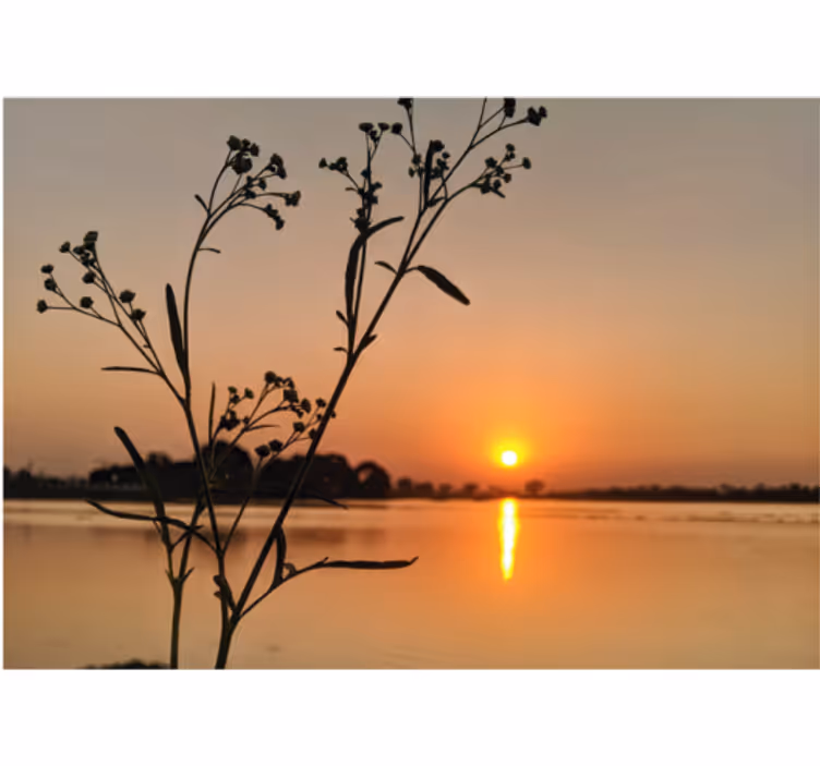 Roller blind for living room sunset over the lake - TenStickers