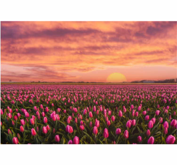 Sunrise and tulips roller blind for living room - TenStickers