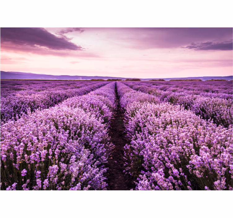 Roller blind for living room with purple flower design - TenStickers