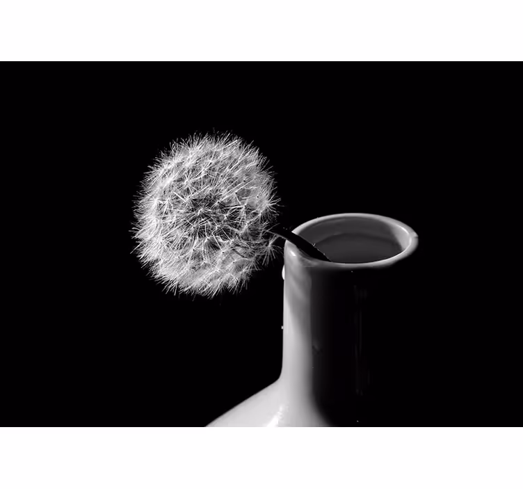 Dandelion in pot roller blind for living room - TenStickers