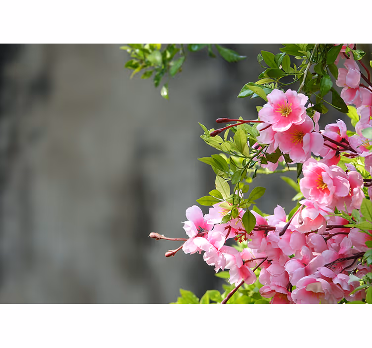 Roller blind for living room pink flowers 3d - TenStickers