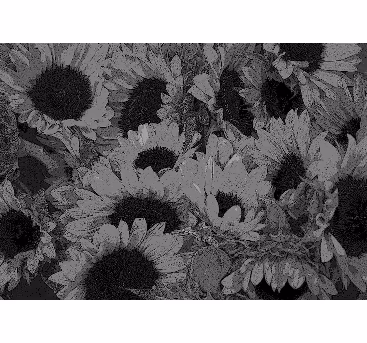 Black and white sunflower roller blind for living room - TenStickers