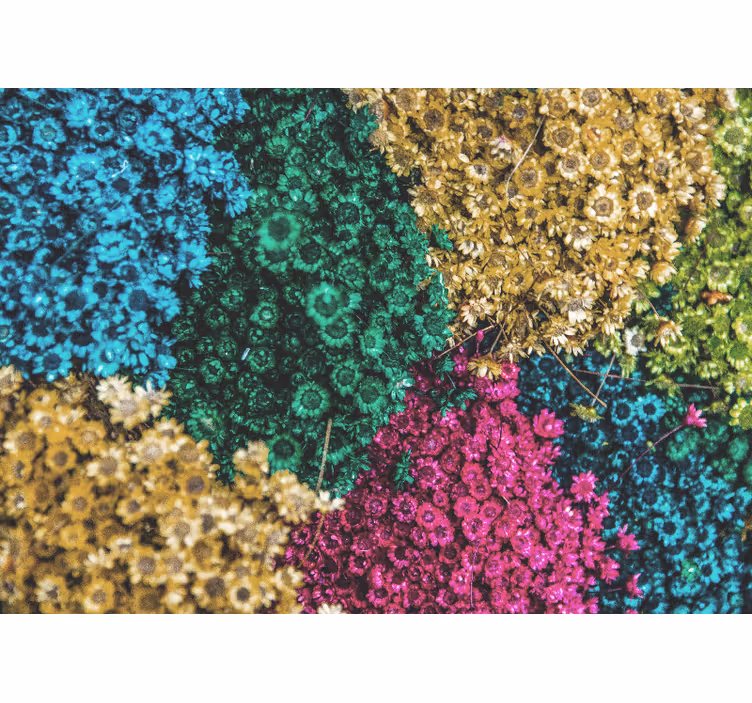 Rainbow daisies roller blind for living room - TenStickers