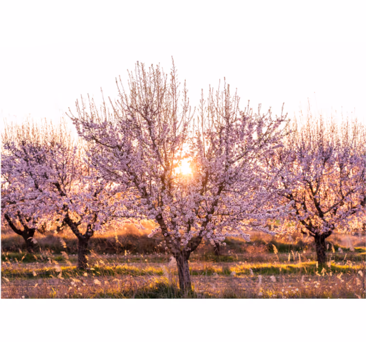 Pink landscape with flowers roller blind for living room - TenStickers