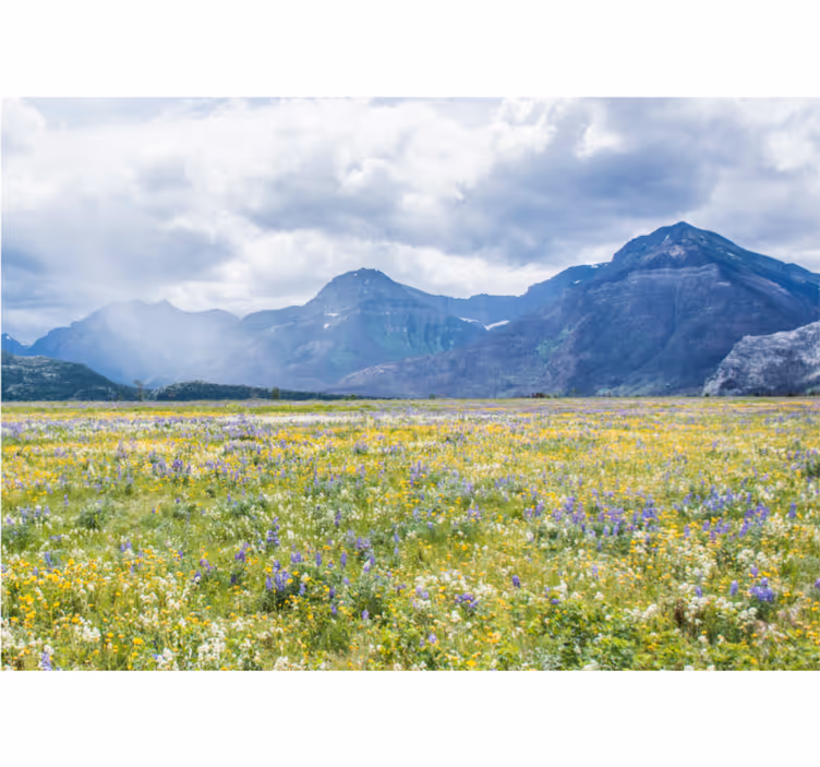 Roller blind for living room small flower field - TenStickers