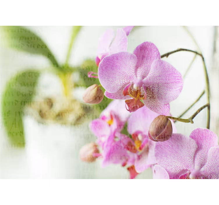 Orchid pattern roller blind for living room - TenStickers