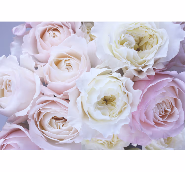Different roses close up roller blind for living room - TenStickers