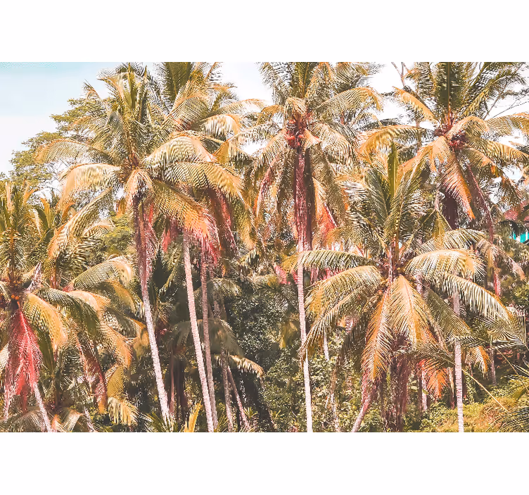 Green palm in the jungle roller blind for living room - TenStickers