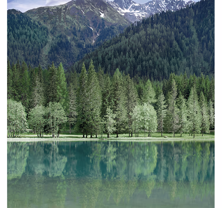 Nature inspired greenish lake roller blind for living room - TenStickers